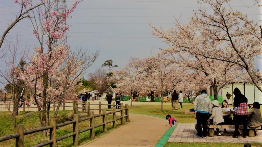 一の谷公園 出雲観光ガイド 出雲観光協会公式ホームページ